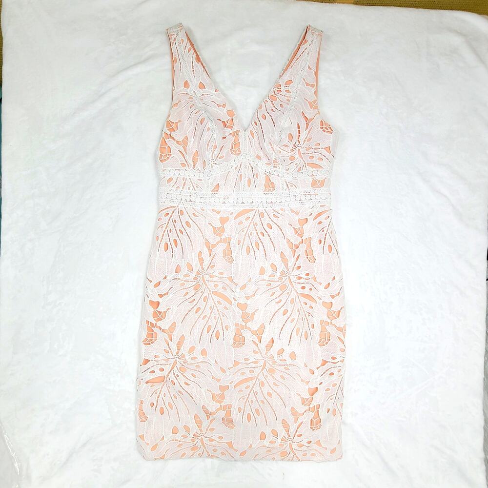 Maeve Anthropologie Dress 6P Pink Lace Sheath Cocktail Wedding Guest Petite